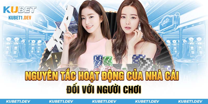 Nguyên tắc hoạt động của nhà cái với người chơi